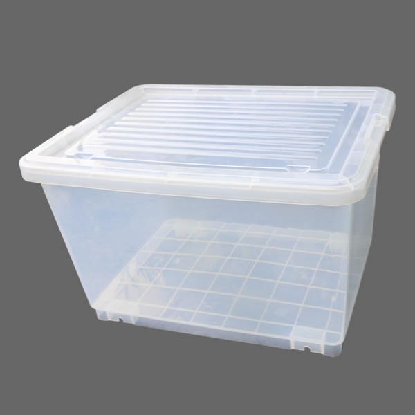 transparent container 5